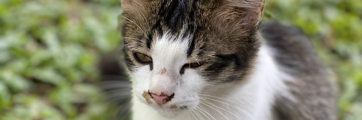 peanut_ucop's profile banner image