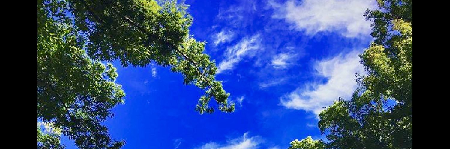 mst111mst's profile banner image
