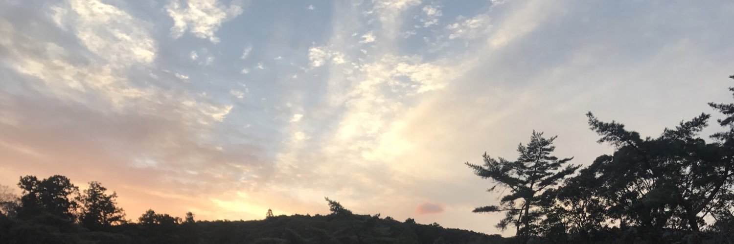M banner