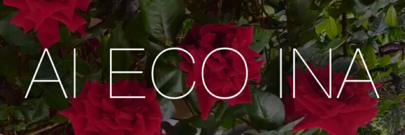 Ai_Eco_Ina's profile banner image
