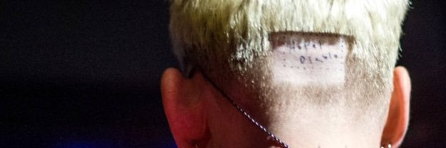 sydney shields banner