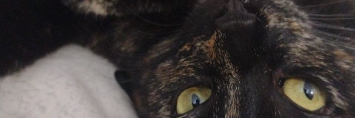 ___Montanez's profile banner image