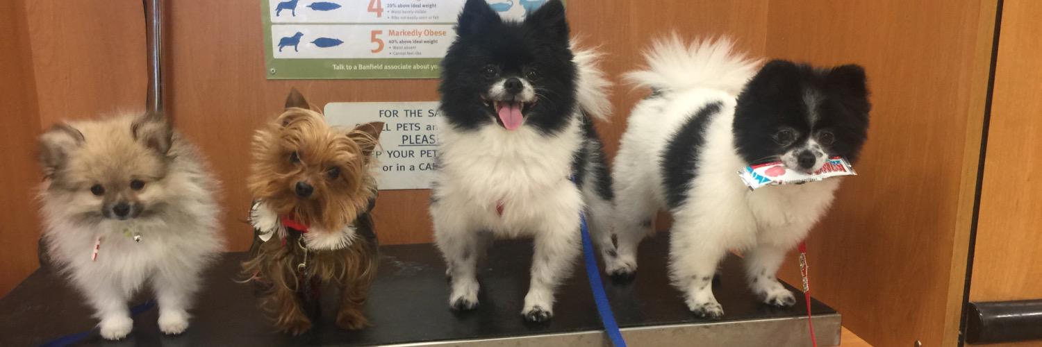 Jennifer Delgado banner