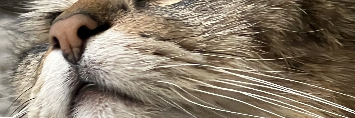 heraashh's profile banner image