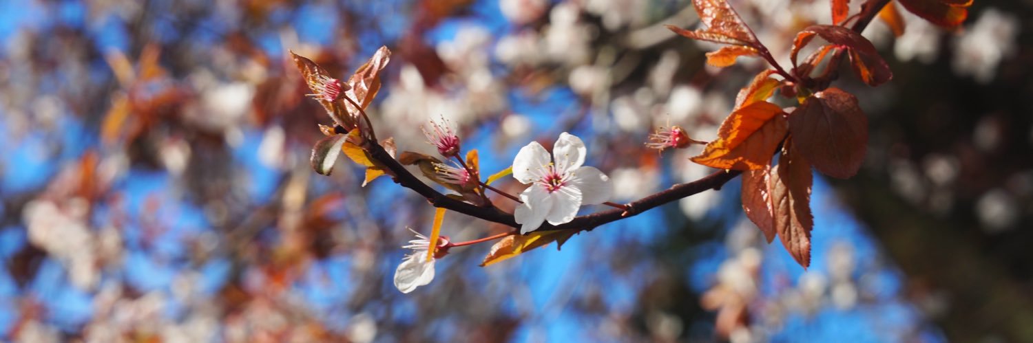 yilclaam's profile banner image