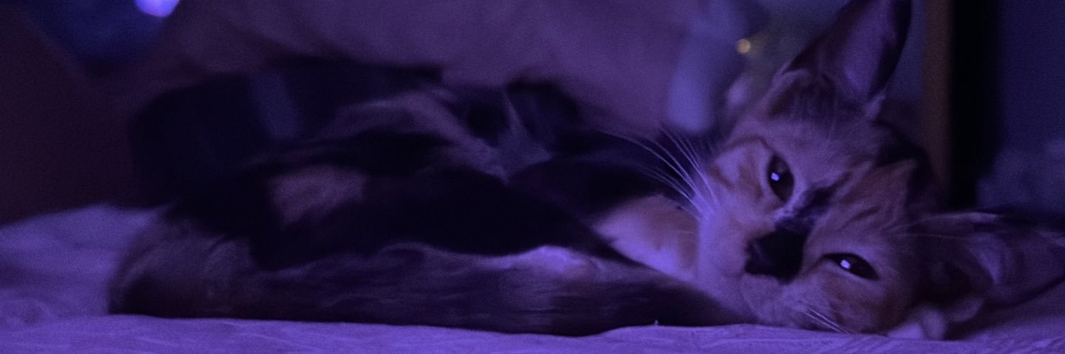 PialoveSims's profile banner image