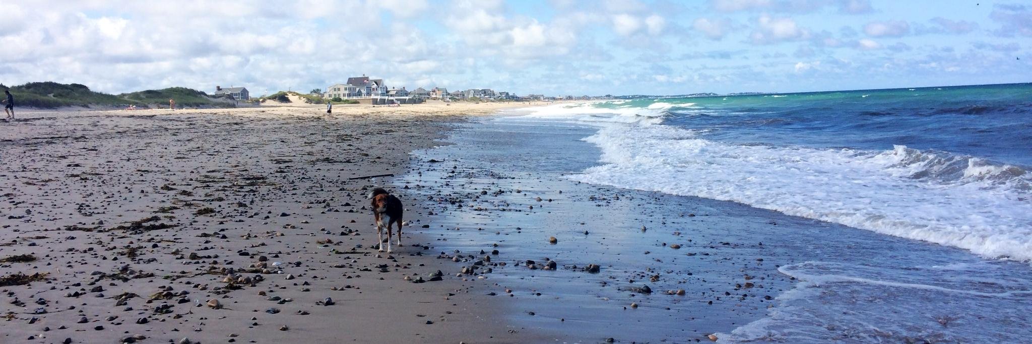 Katie Sullivan banner