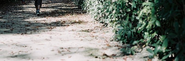 _t_mnm's profile banner image