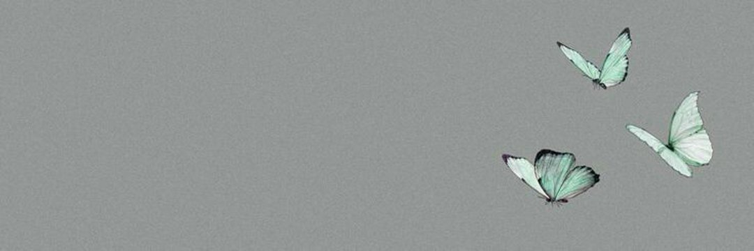 daisylmng's profile banner image