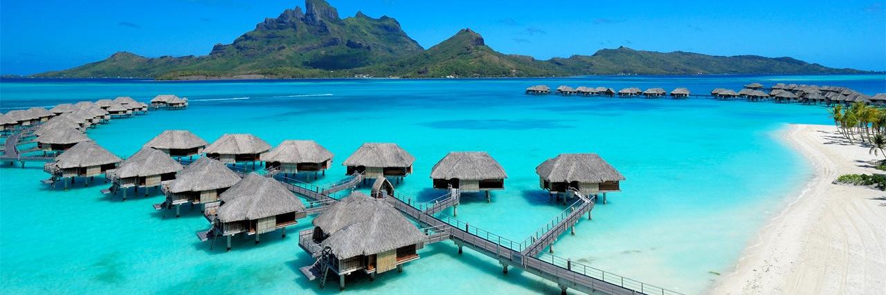 George Pithoulas banner