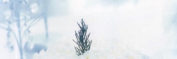 mikutea3x9's profile banner image