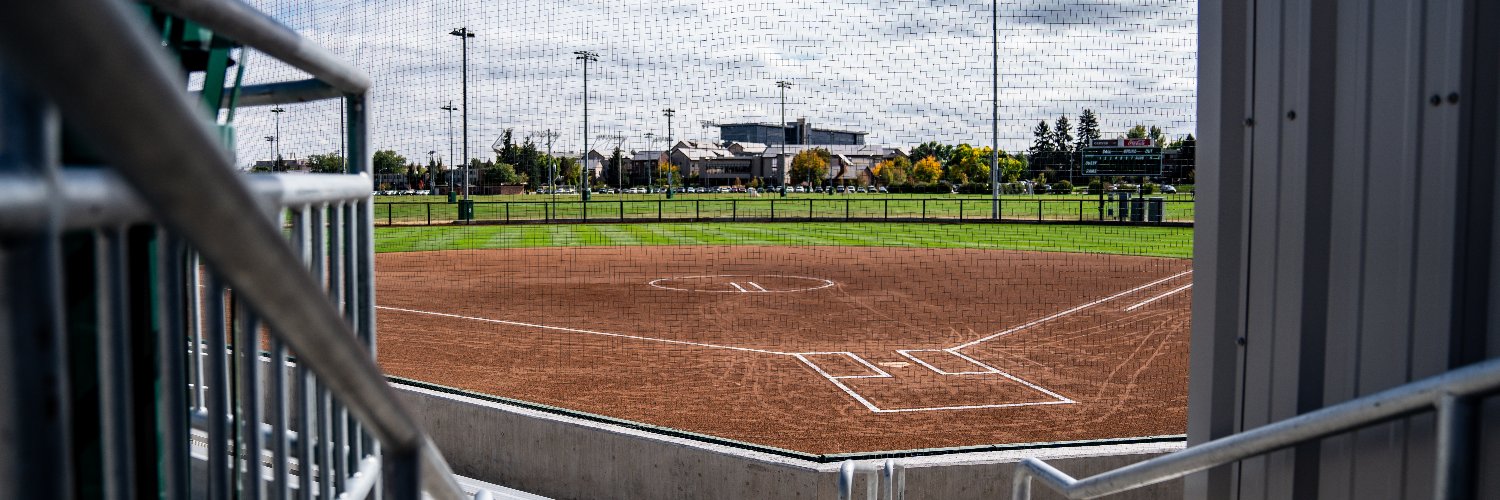 Colorado State Softball banner