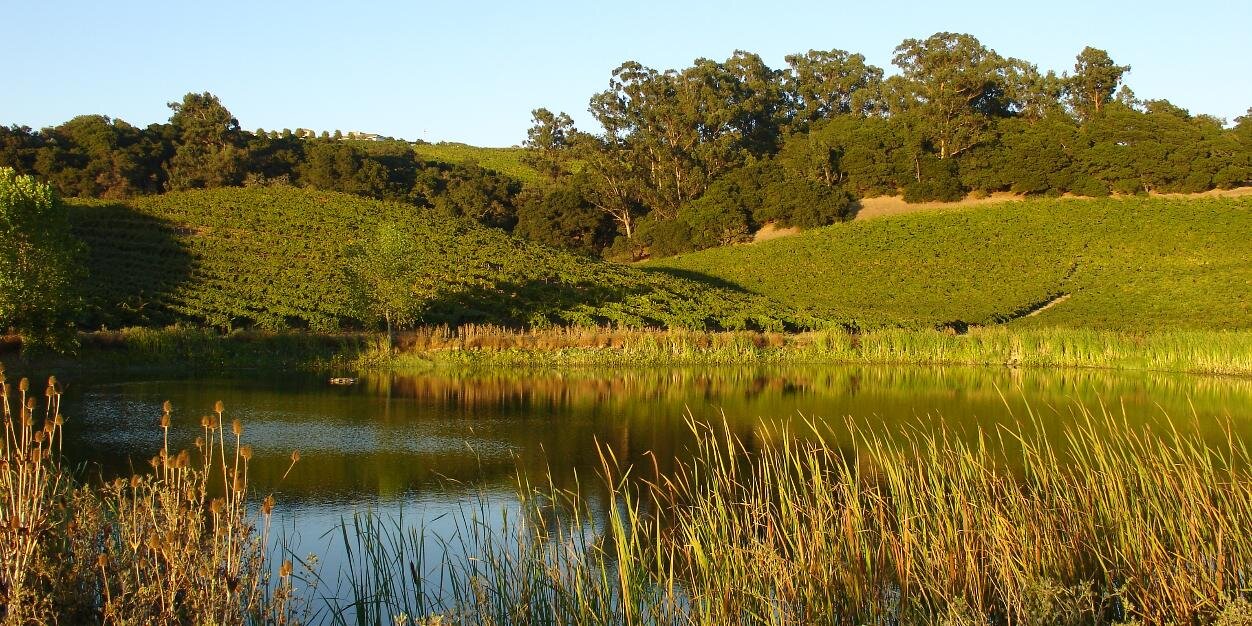 Truchard Vineyards banner