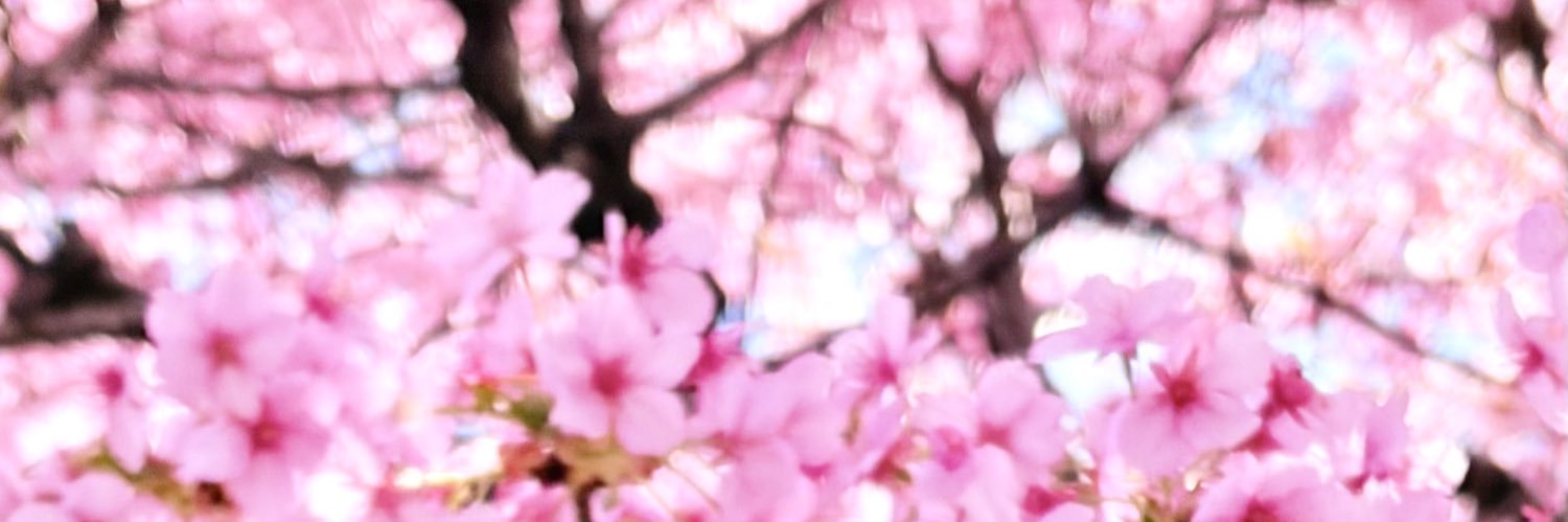 mitu3293's profile banner image