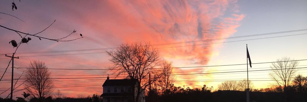 larissablazer_'s profile banner image