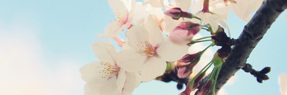maydy_159's profile banner image