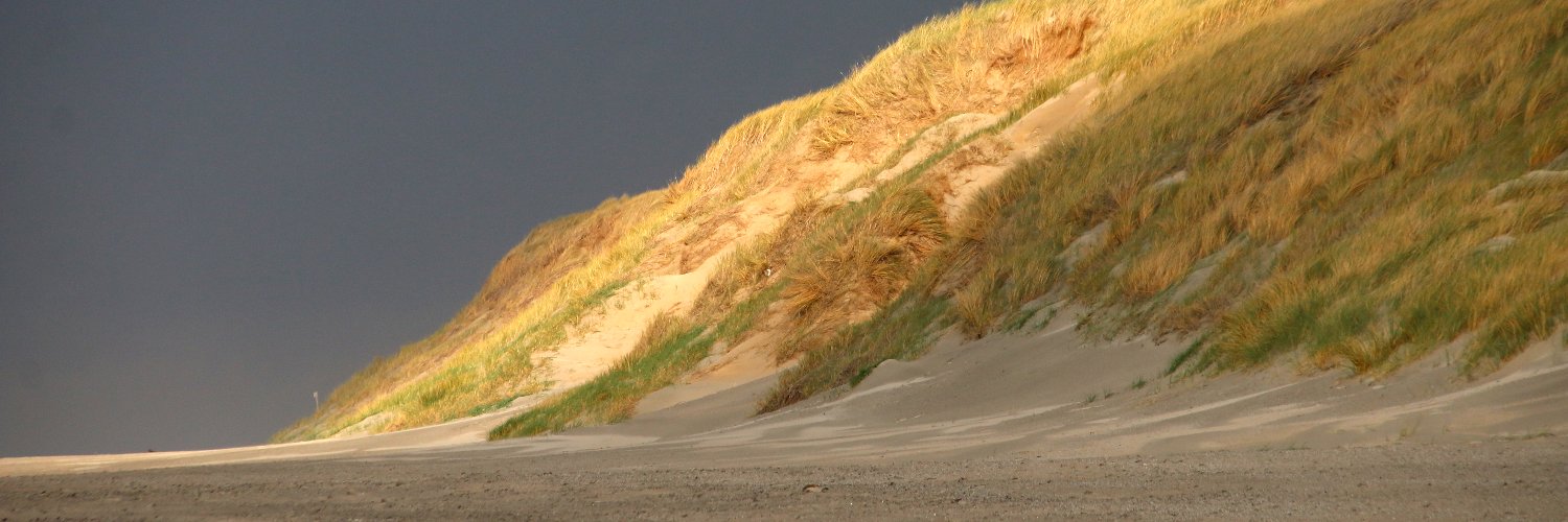 Duinbehoud's profile banner image