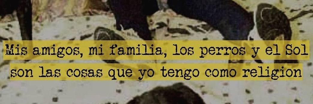 AndreaJuarez98's profile banner image
