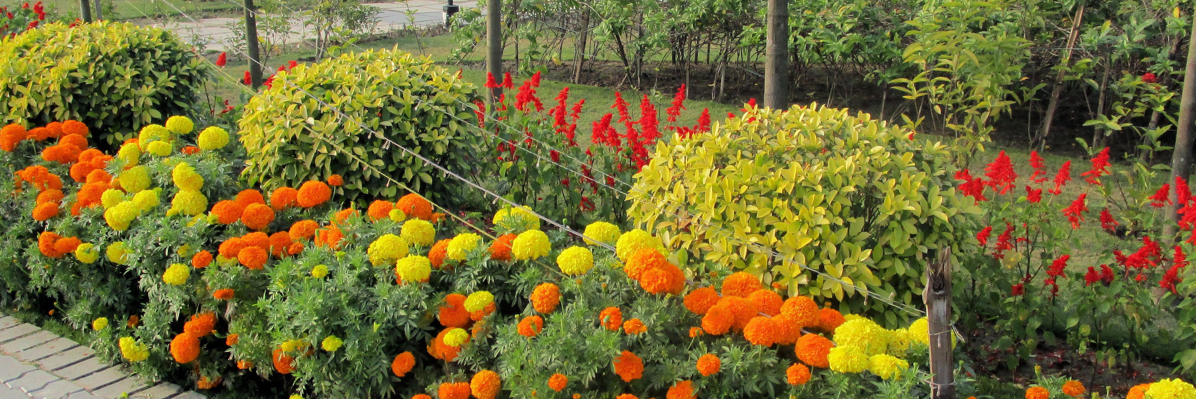 attelbengali's profile banner image