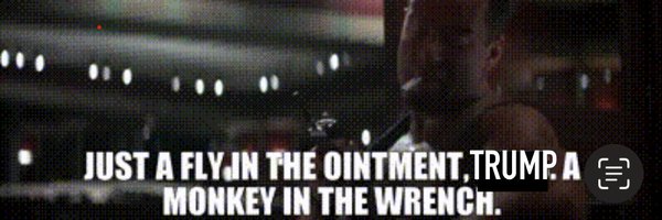 FlyInTheOinment Profile Banner