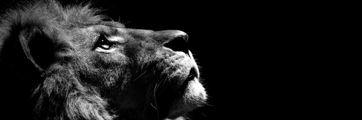 Mvrco_'s profile banner image