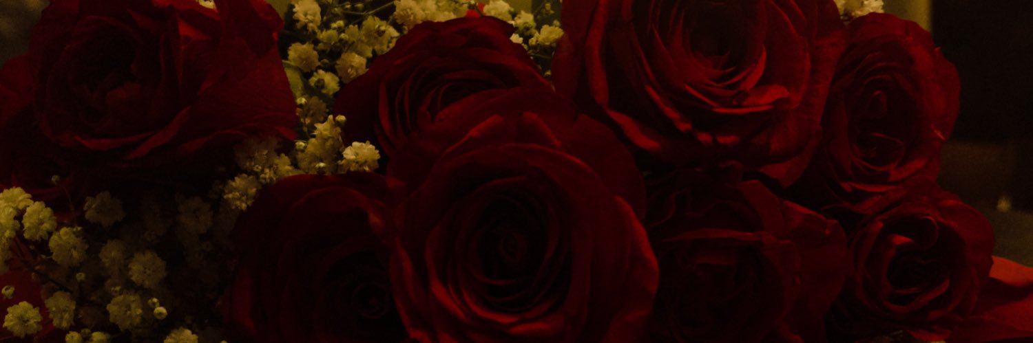 lidianeeeew's profile banner image