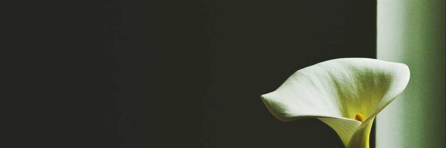 barryscleaning's profile banner image