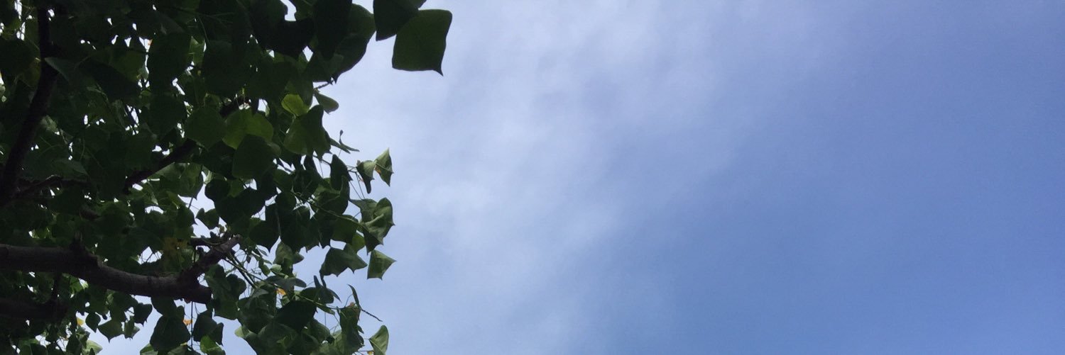 suu624's profile banner image