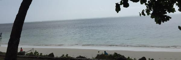 CarolineGichero Profile Banner