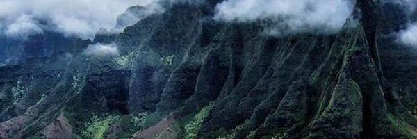 WizTrust Profile Banner