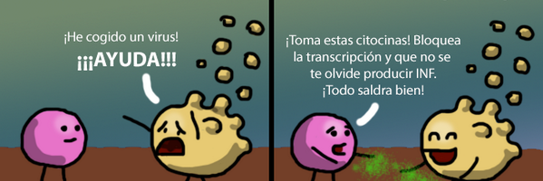 MDFormacion's profile banner image