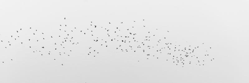 Valentin Huedo banner