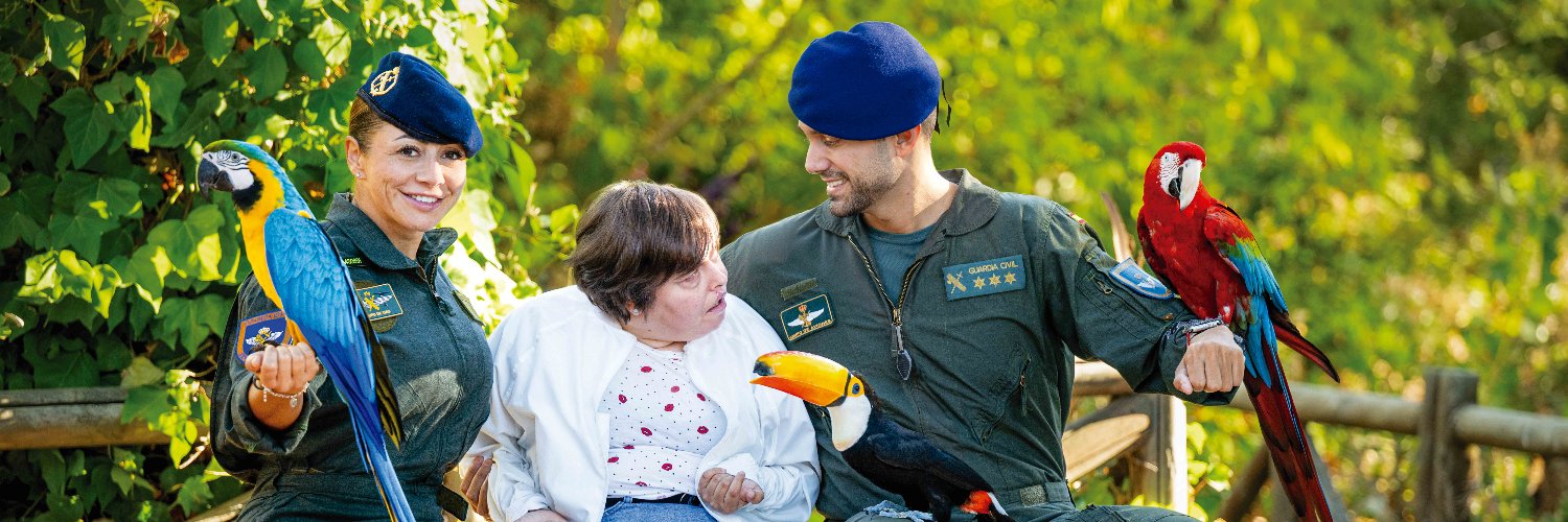 Guardia Civil banner