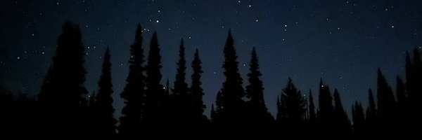 daniellewis Profile Banner