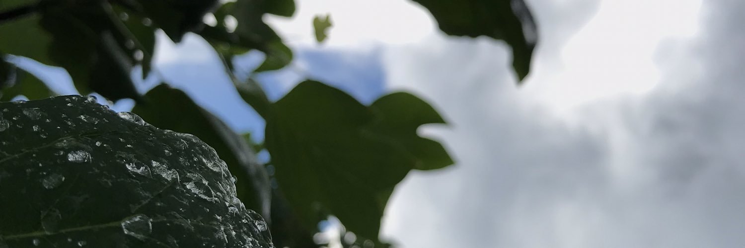 ramonnguapo's profile banner image