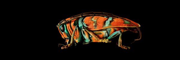 ClockworkCosmos Profile Banner