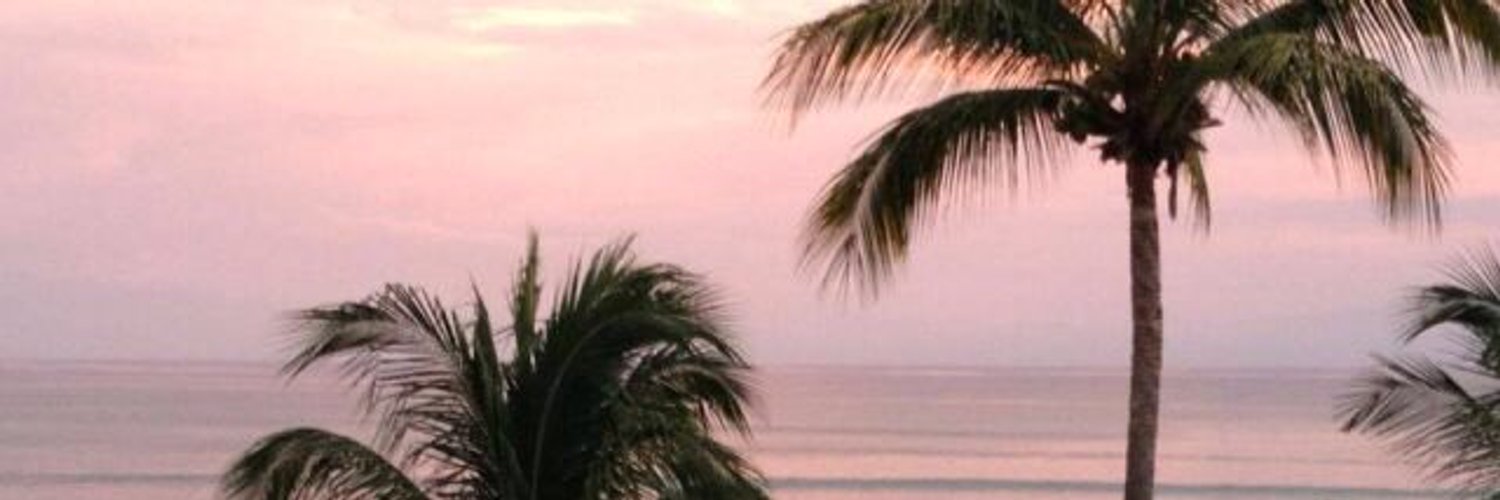 mdanielanv's profile banner image