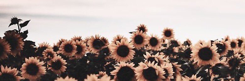 isandrashazlynn's profile banner image