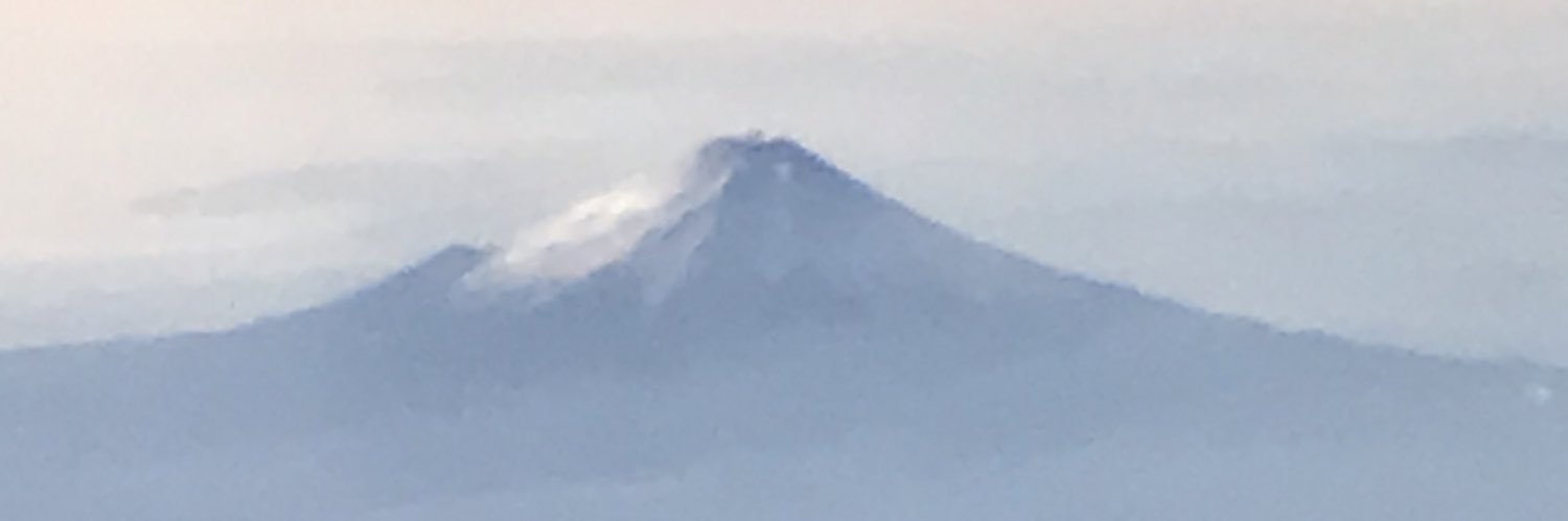 kokoademonome's profile banner image