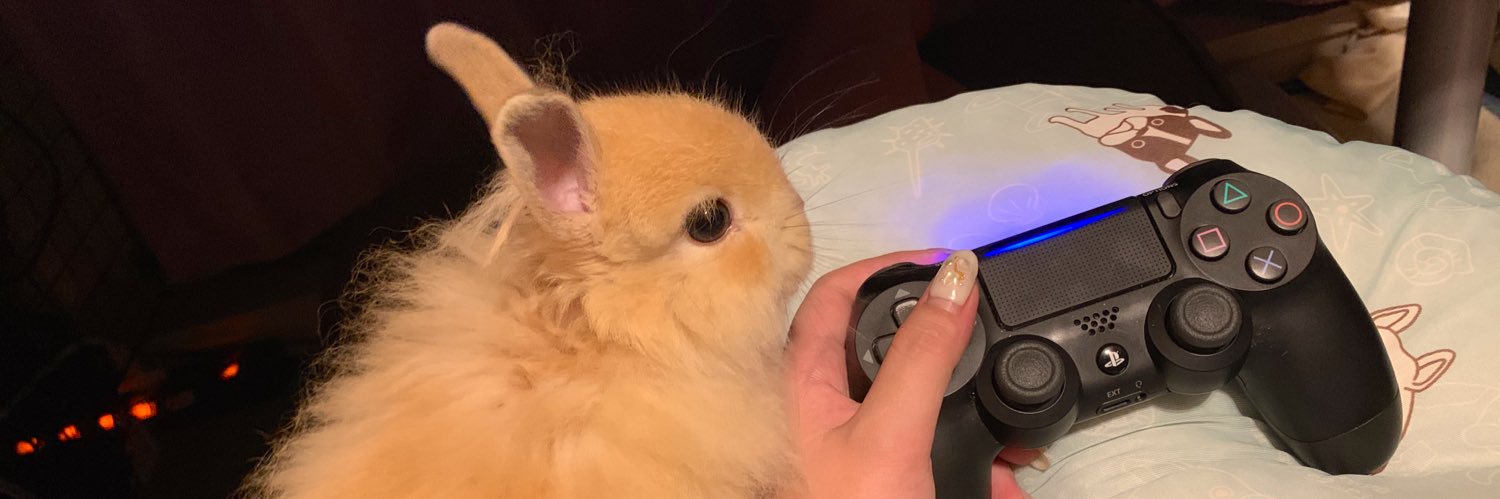 xrx01xrx's profile banner image