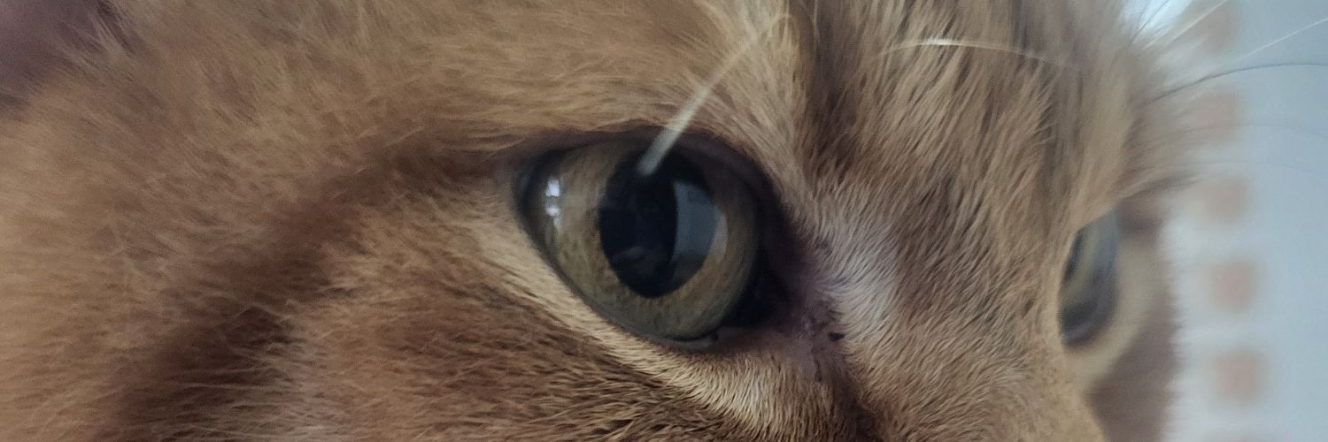 Guilleta93's profile banner image