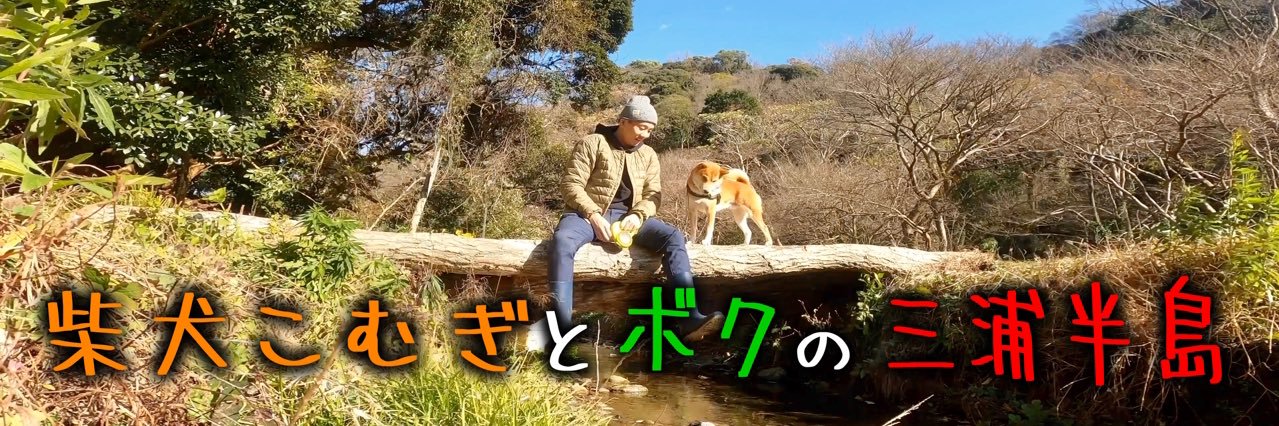 柴犬こむぎとボクの三浦半島のあるじ's banner