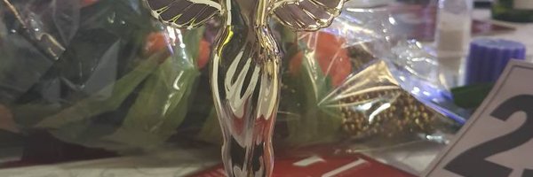 zedgeloo Profile Banner