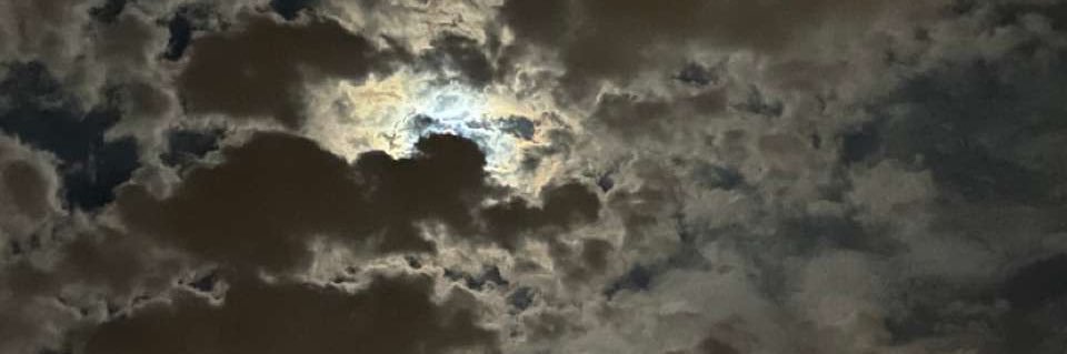 mmalr__'s profile banner image