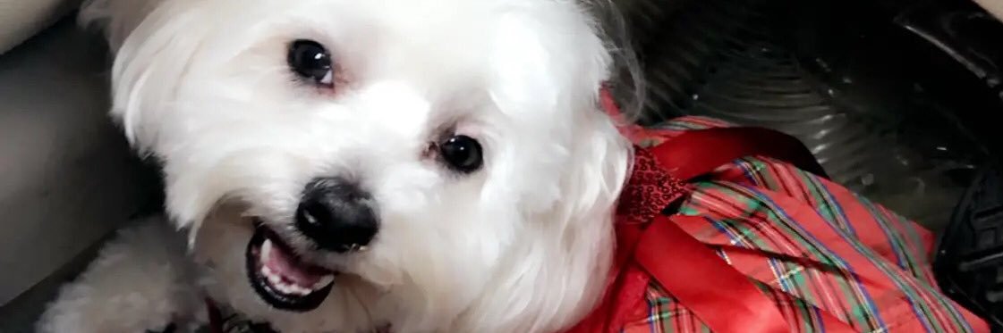 savyydee's profile banner image