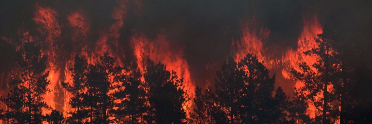 neriseyk's profile banner image