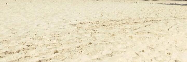 Frblanco's profile banner image