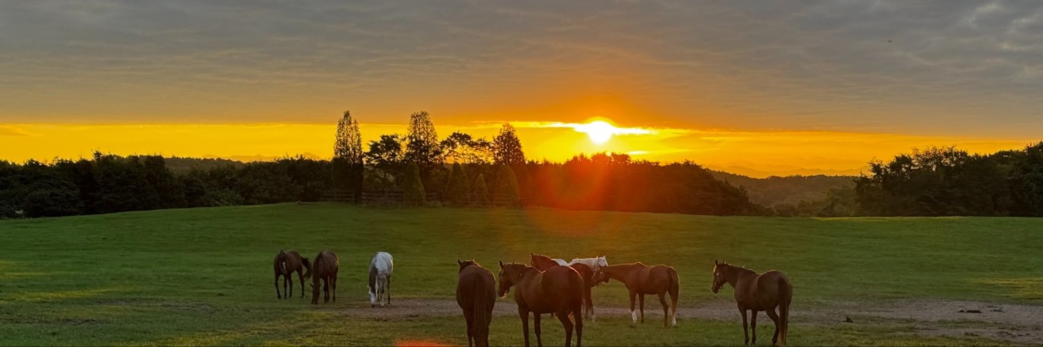 macamacadamia's profile banner image