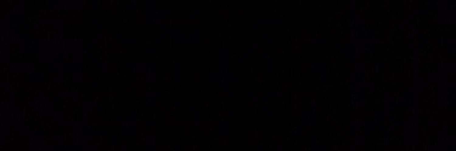 areeshashamim's profile banner image
