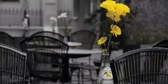 374Kandu's profile banner image